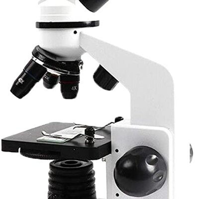 Timeline: Microscopios ópticos