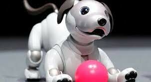 PERRO ROBOT