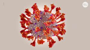 The Effect Omicron Had On South Africa