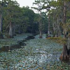 Moses and Stephen Austin crossed into east texas