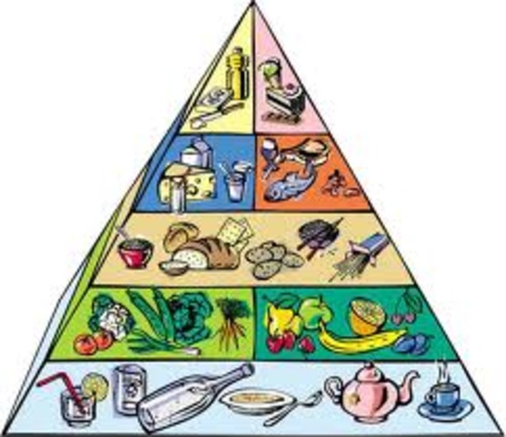 Food Pyramid