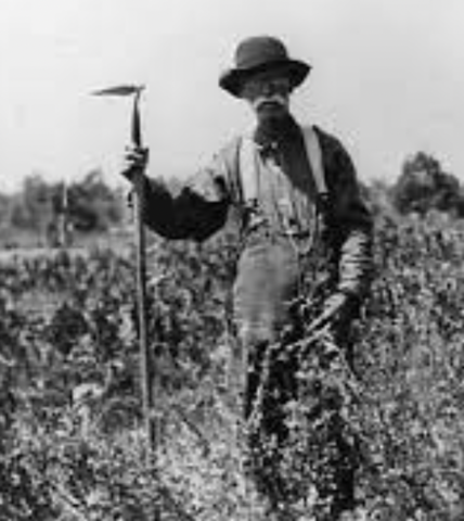 The mexican government passed the colonization law