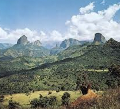 Africans trade networks