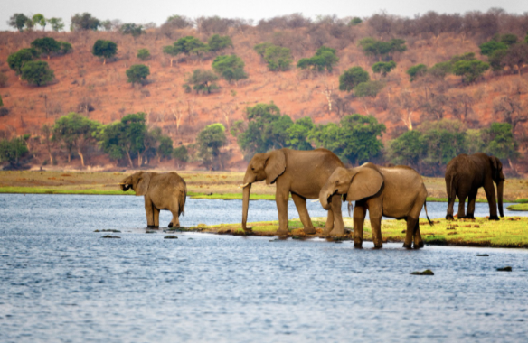 The start of civilization