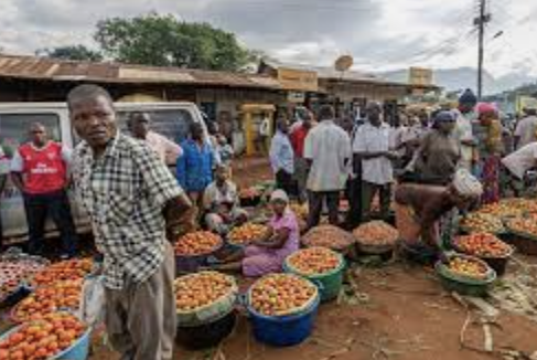 Botswana trade starter