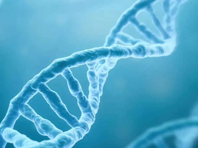 La estructura molecular del ADN