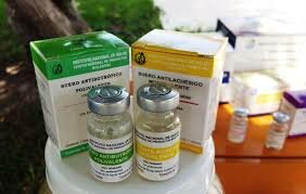 Creación del antídoto contra el veneno de serpiente de cascabel