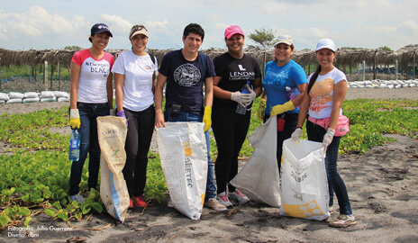 IMPLEMENTACIÓN SERVICIO SOCIAL