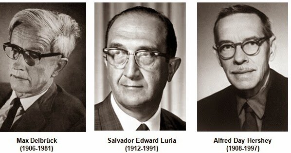 A. Luria, Delbrück y Alfred Day Hershey se les otorgó el premio Nobel por sus descubrimientos acerca del mecanismo de replicación de los virus y su estructura genética