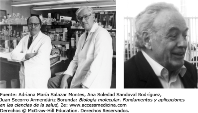 Steward Lynn y Werner Arber descubrieron los sistemas de restricción de las bacterias