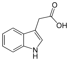 Ácido indolisl-3-acético.
