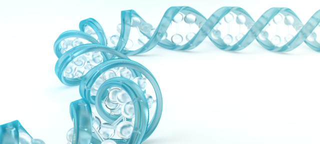 ARN de Interferencia