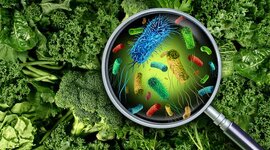 Timeline: historia de la microbiologia