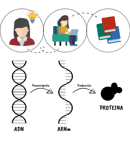 ARN de interferencia