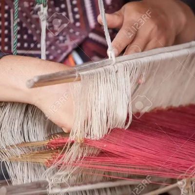 Timeline: Origen y Evolución de la Administración