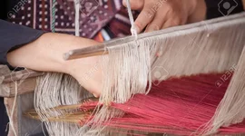 Timeline: Origen y Evolución de la Administración