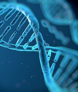 Genoma de un organismo vivo