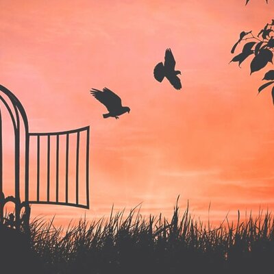 Timeline: Boj za svobodo