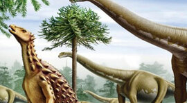 Timeline: Kalendar zivota