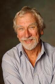 Throsby introduce el concepto de capital cultural