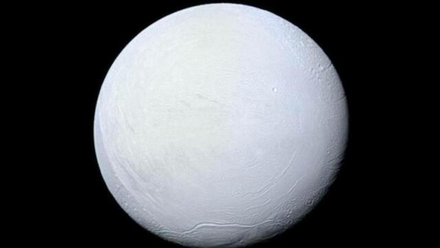 Bola de Nieve