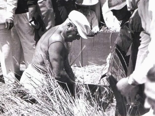 Implantación de la batalla del trigo