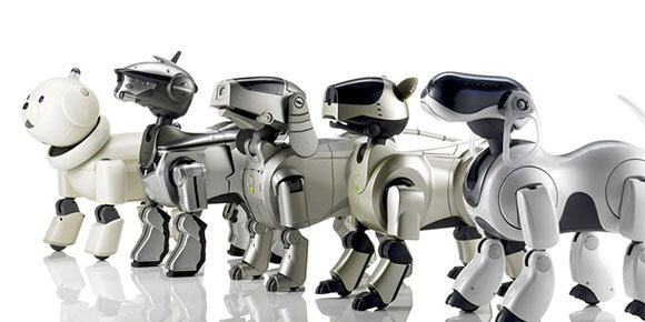 AIBO