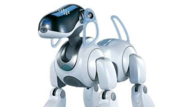 AIBO
