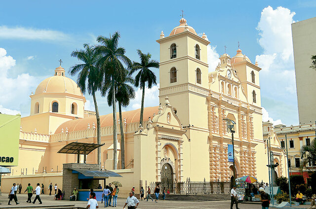 Trabaja en el ayuntamiento de Tegucigalpa