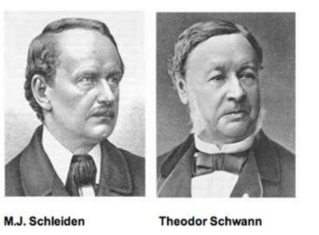 Matthais Schleiden y Teodor Schwan