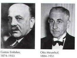 Gustav  Embden  y  Otto  Meyerhof
