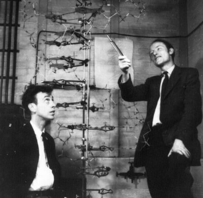 James Watson y Francis Crick