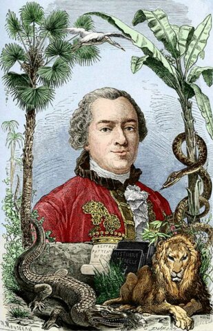 Humanos y naturaleza regidos por los mismos fenómeno