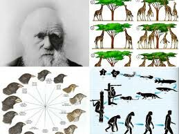 Charles Darwin