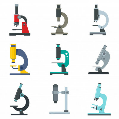 Timeline: TIPOS DE MICROSCOPIOS ÓPTICOS