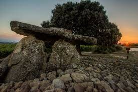 Sorginen txabola (trikuharria)