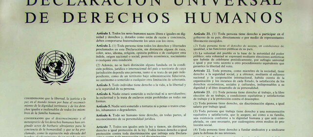 Declaración Universal de Derechos Humanos