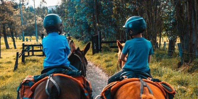 Estar en constante contacto con los animales