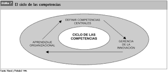 Teoría de las competencias centrales