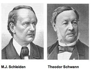 Schleiden y Schwann.