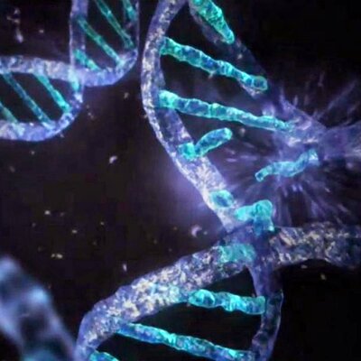 Timeline: Teorías del origen de la célula