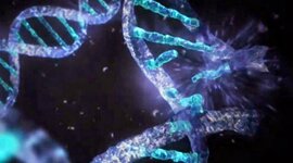 Timeline: Teorías del origen de la célula