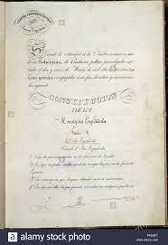 NUEVA CONSTITUCIÓN (PROGRESISTA)