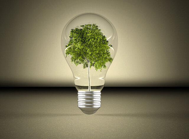 ``Ecologia-Economia``