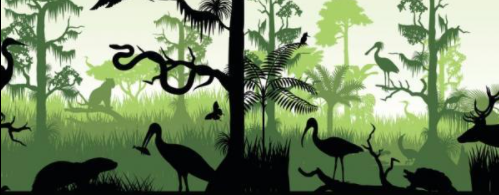 De mercaderías a componentes de los ecosistemas