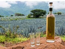 Tequila (Jalisco, México)