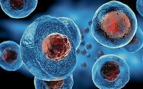 Stem cell research and development