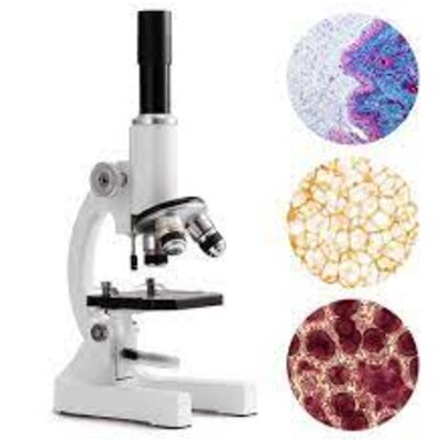 Timeline: Historia del microscopio optico (Referencia:  Microscopio óptico 2021.Español.colaboradores de Wikipedia.Wikipedia, la enciclopedia libre