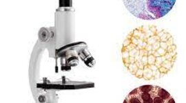 Timeline: Historia del microscopio optico (Referencia:  Microscopio óptico 2021.Español.colaboradores de Wikipedia.Wikipedia, la enciclopedia libre