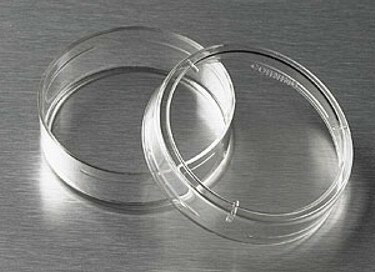 Creación de la caja de Petri